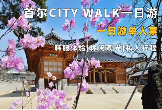 首尔跟着专业导游CITY WALK一日游