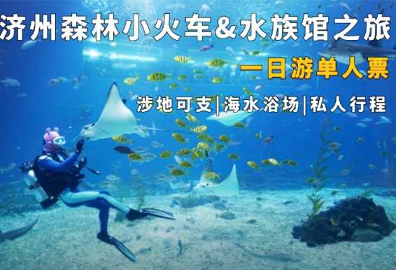 济州森林小火车&水族馆&自然景观一日游