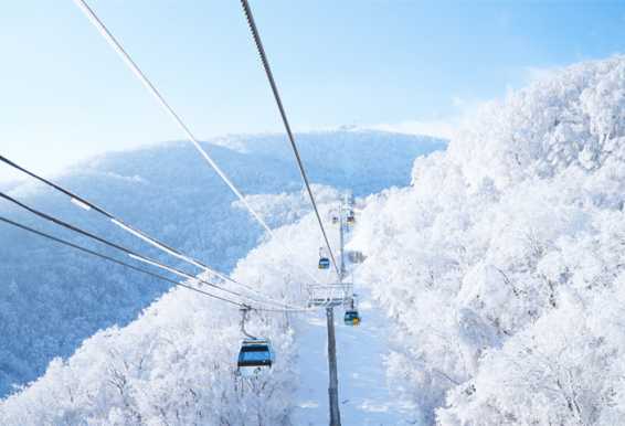 江原道龙平度假村滑雪场门票(自由组合）